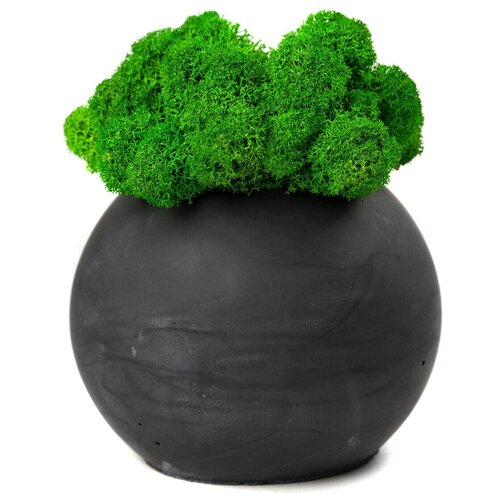Кашпо бетонное со мхом (сфера-маренго мох зеленый)
