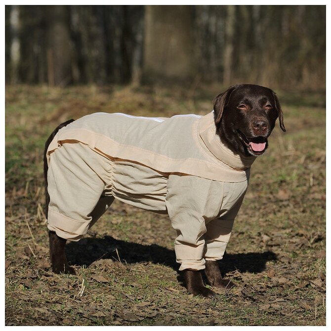 Комбинезон для собак Osso Fashion Анти Клещ, размер 55 - фотография № 5