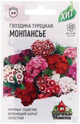 Семена цветов Гвоздика "Монпансье", 0,1 г