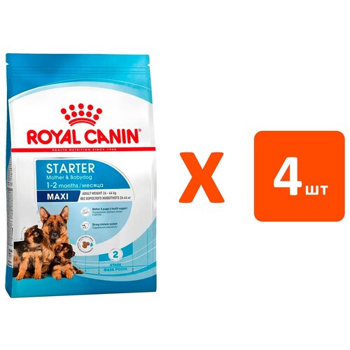 ROYAL CANIN MAXI STARTER для щенков крупных пород до 2 месяцев, беременных и кормящих сук (4 кг х 4 шт)