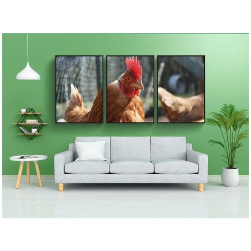 фото Набор модулных постеров для интерьера "курица, животное, домашняя птица" 60x90 см. в тубусе, без рамки lotsprints