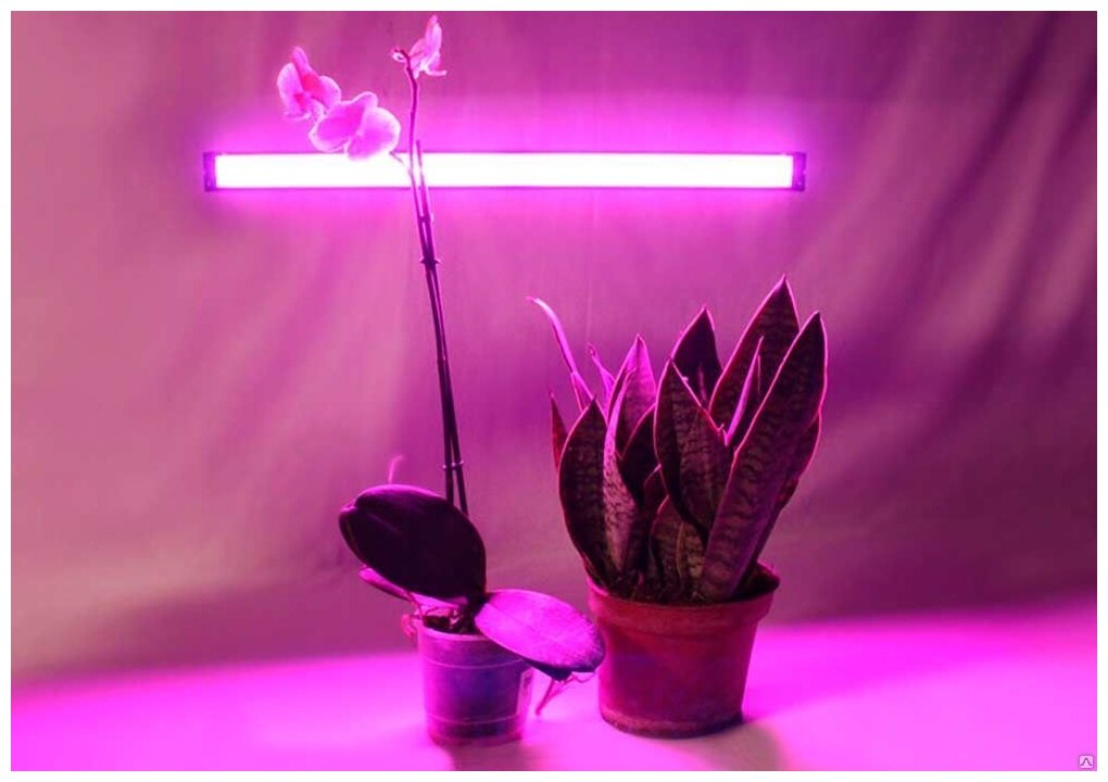 Ultraflash Светильник для растений LWL-2014-04CL белый 1 шт. - фотография № 6