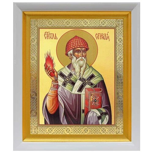 Святитель Спиридон Тримифунтский, икона в белом киоте 19*22,5 см