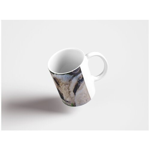 фото Кружка "собака, шерсть, пушистый 320 мл. белая" lotsprints