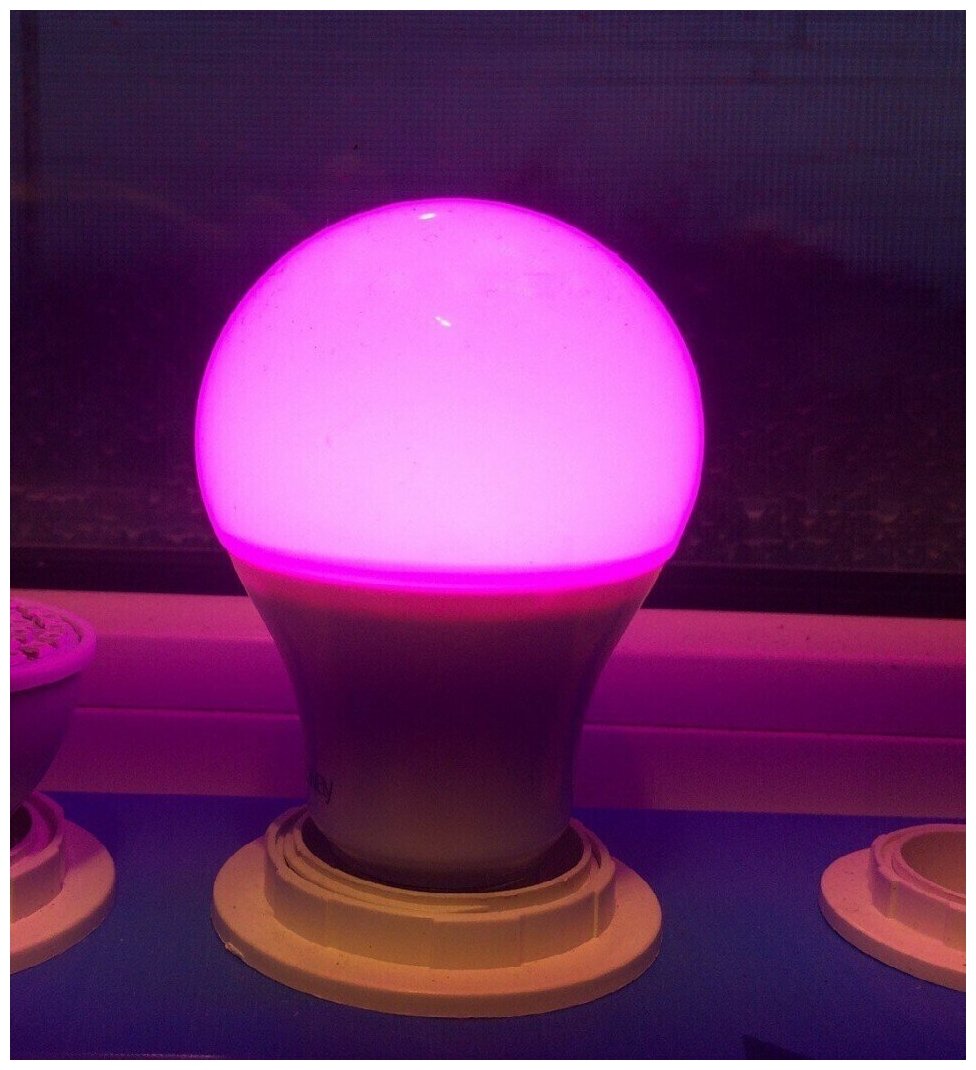 Лампа светодиодная LED 9Вт A60 Е27 CLEAR ( для растений) Jazzway - фотография № 7