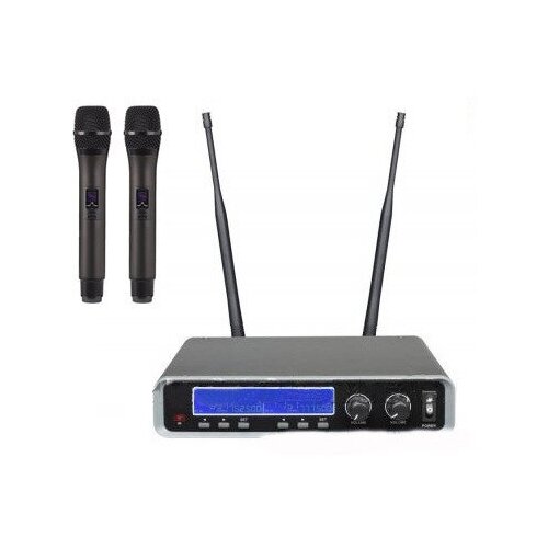 Радиосистема на два микрофона B G IU-208 1526900₽