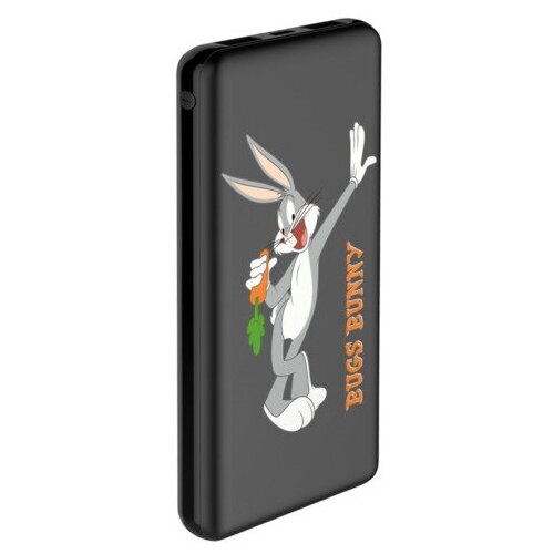 Внешний АКБ 10000 mAh 2 USB 1 MICRO 21A Li-pol черный LT16_21 Deppa 33601 107400₽