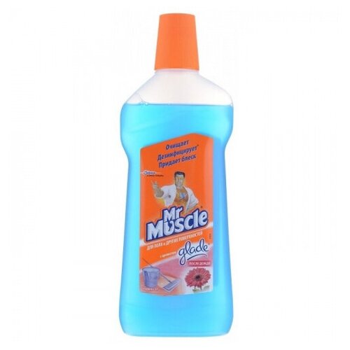 Mr. Muscle Средство для мытья полов и других поверхностей Mr. Muscle После дождя 500 мл, 7 шт.