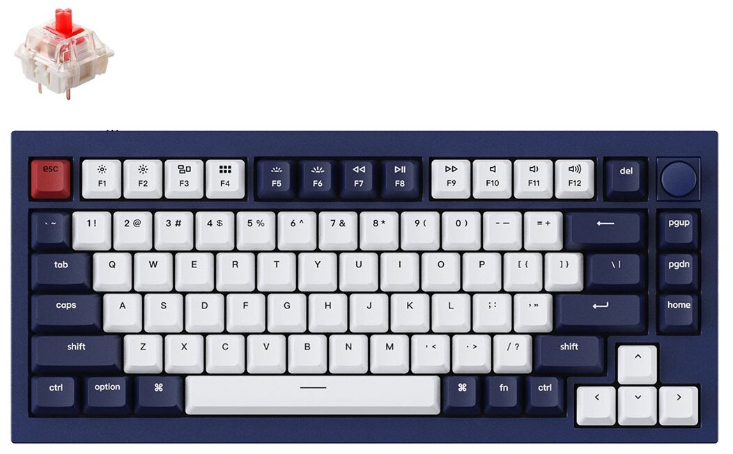 Клавиатура Keychron Q1-O1,RGB подсветка,красный свитч,84 кнопоки, цвет синий