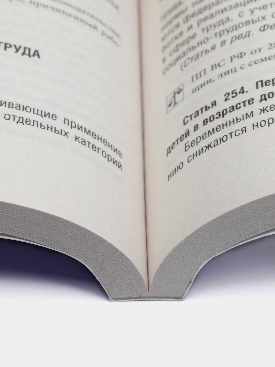 Трудовой кодекс РФ (ТК РФ) по сост. на 25.09.25 с таблицей изменений и с путеводителем по судебной практике. Комплект из 2 шт. — фото 1