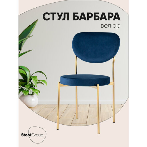 фото Стул для кухни обеденный барбара, велюр королевский синий, золотые ножки stool group
