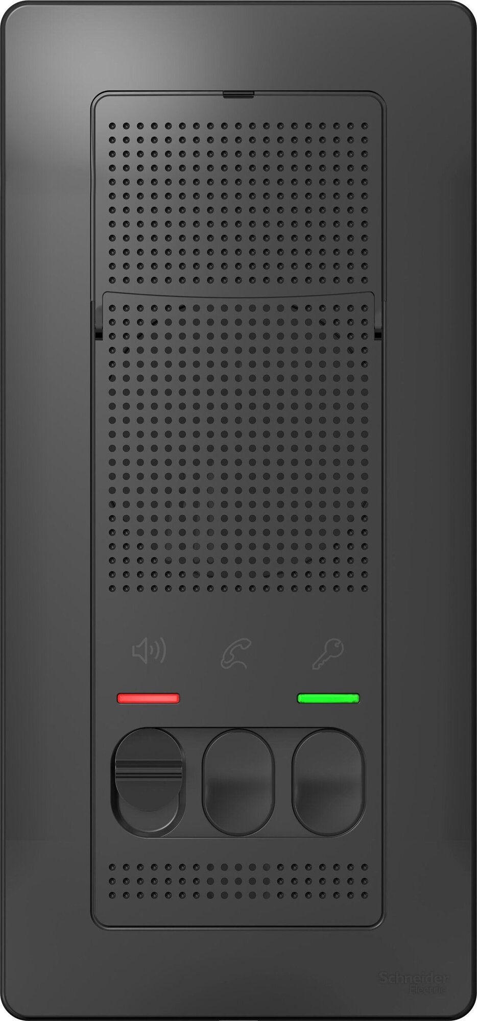 Вызывная панель Schneider Electric Blanca антрацит