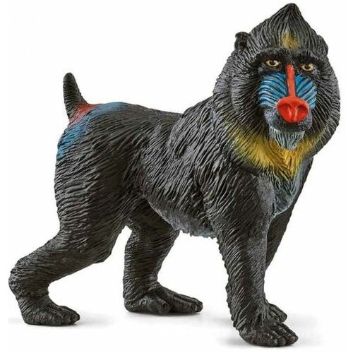 Животное мандрил