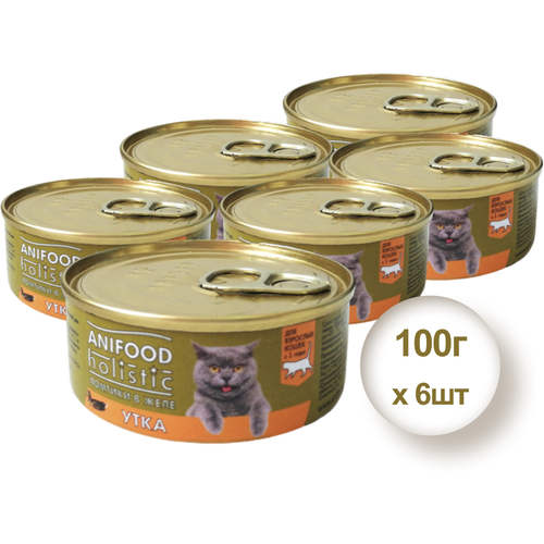 Консервы для кошек Anifood Holistic утка ломтики в желе, 100 гр * 6 шт