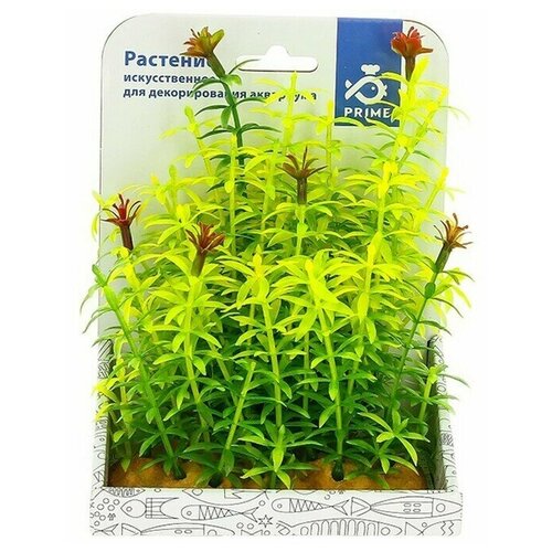 Пластиковое Растение Prime Гигрофила 15см