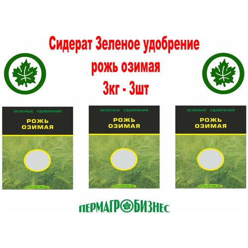 Сидерат Зеленое удобрение Рожь озимая Пермагробизнес 1 кг комплект 3 шт