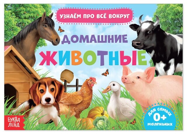 Обучающая книжка «Домашние животные», 18 животных