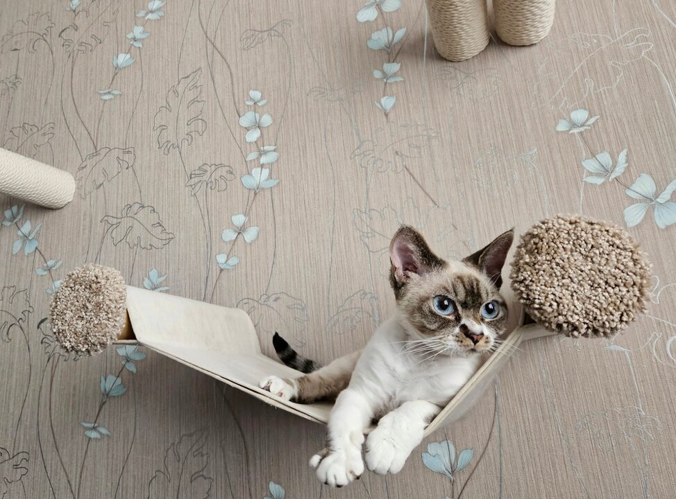 Лежанка настенная для кошек, тканевая, бежевая - фотография № 1