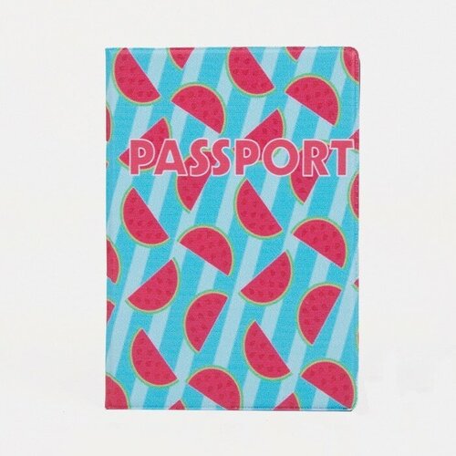 Обложка для паспорта , голубой для паспорта gorodok голубой