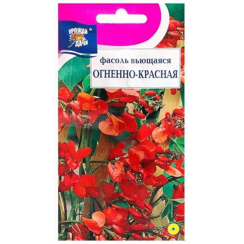 фасоль красная донская кухня 420 г Семена Урожай удачи Фасоль Вьющаяся огненно-красная 5 г