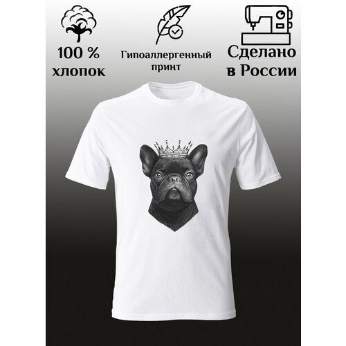 фото Футболка, размер 44, серый, белый nelly studio