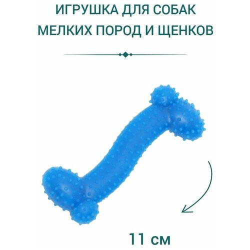 Игрушка для собак мелких пород. Игрушка для щенков.