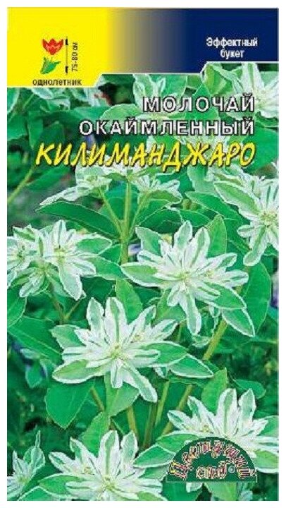 Семена Цветущий сад "Молочай Килиманджаро Эуфорбия" 02 г