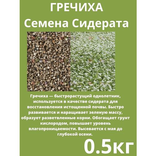 Семена Гречиха 0,5 кг