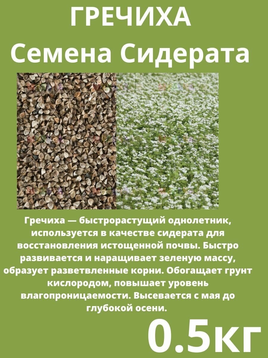 Семена Гречиха 0,5 кг