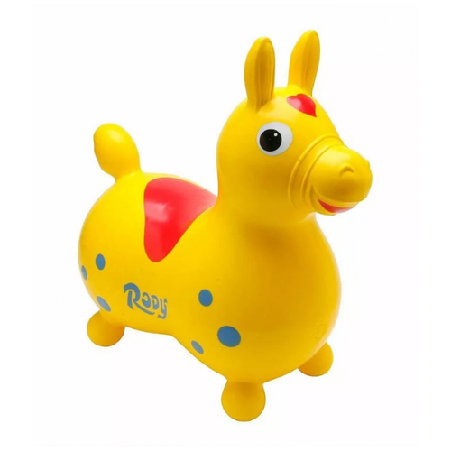 Мяч для занятий ЛФК Orto Rody