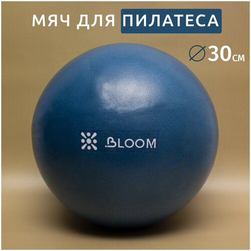 фото Мяч liveup lb7000 для пилатеса 30 см