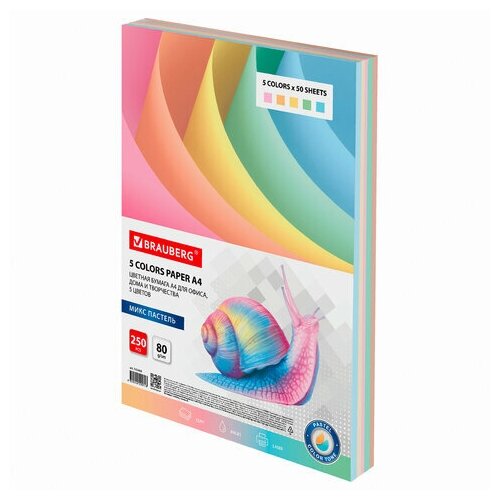 Бумага цветная А4 Brauberg, пастель, 5 цветов по 50 листов, 80 г/кв. м, 2 пачки по 250 листов (112463)