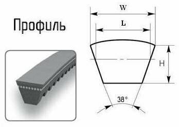 Ремень 937 (AVX-17 14х10) вентиляторный зубчатый (Technik)