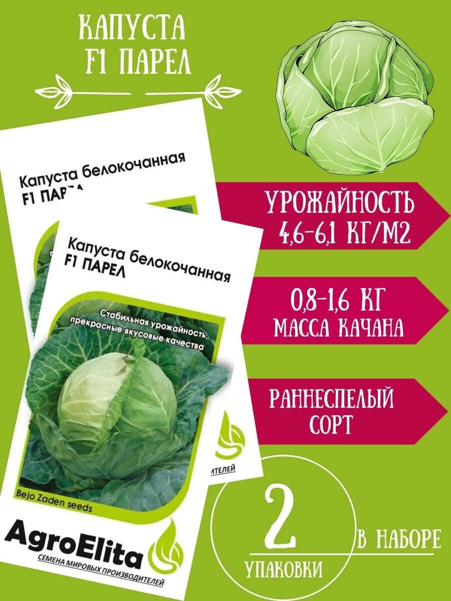 Капуста Белокочанная Парел F1, 10 семян 2 упаковки