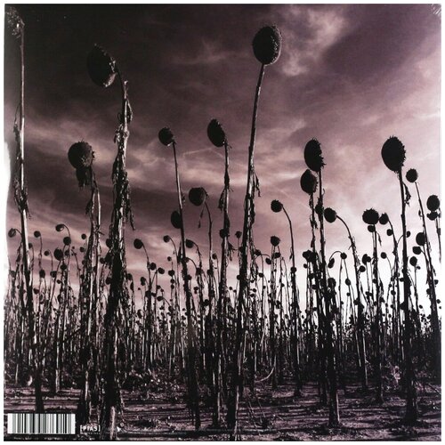 Dead Can Dance: Anastasis (Clear Vinyl)