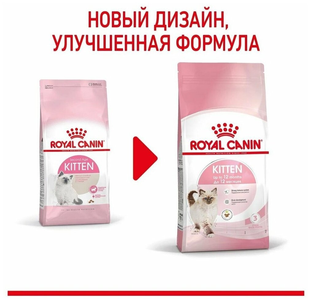 ROYAL CANIN KITTEN 36 для котят (0,3 + 0,3 кг) - фотография № 10