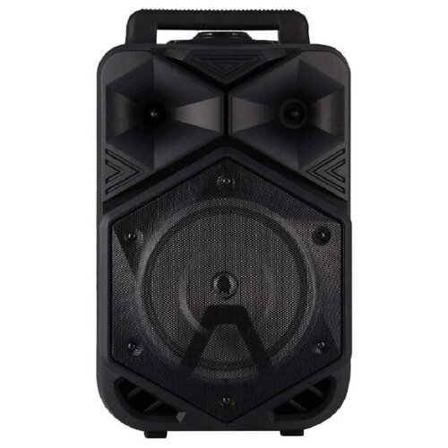 Портативная акустика BT SPEAKER BT-1778 65 Вт черный 329900₽