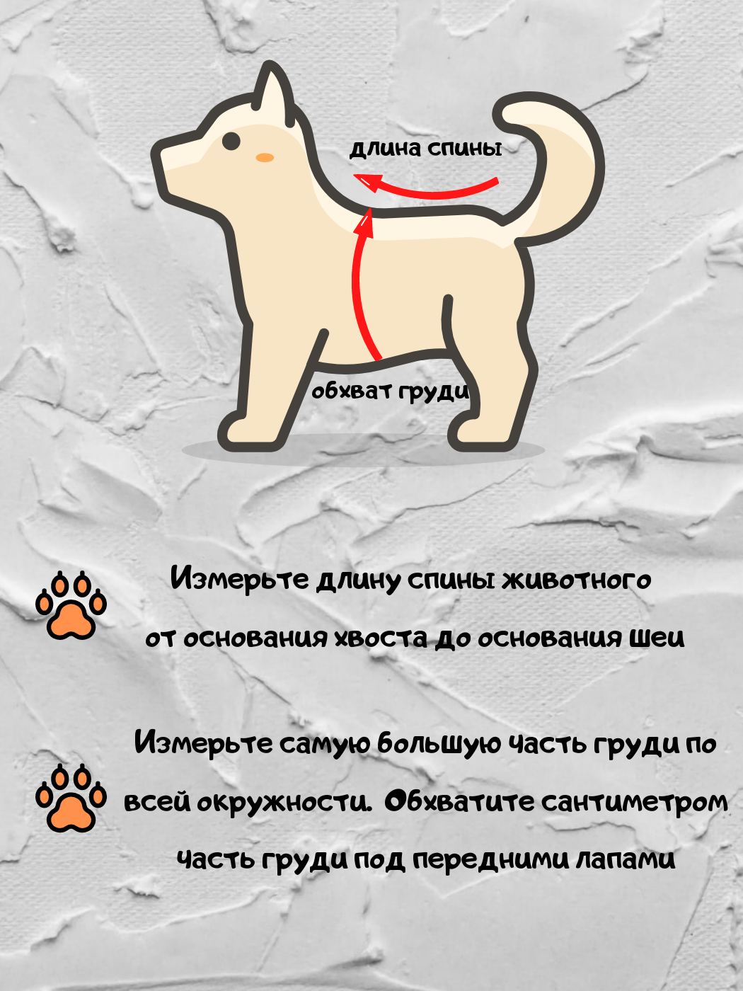 Майка для собак и кошек мелких и средних пород - фотография № 4