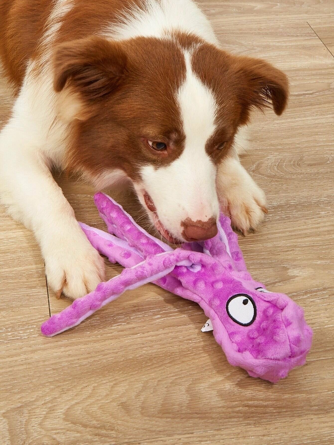 Мягкая игрушка для собак осьминог (пищит, шуршалка) - фотография № 5