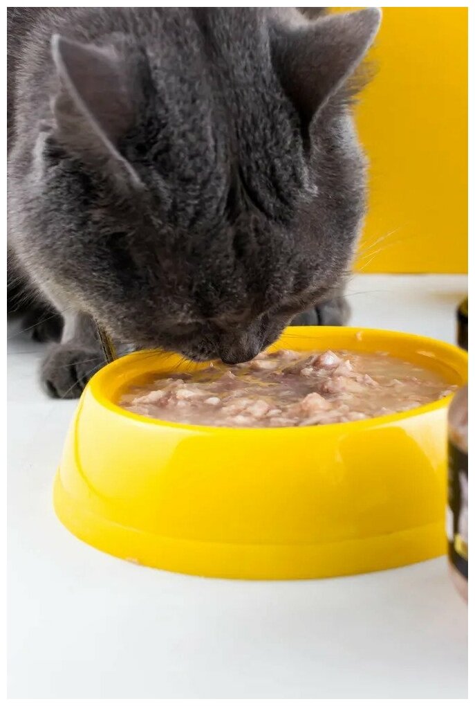 Мясной деликатес для кошек, котов и котят Lick Nose из курицы 12шт. х 110гр Премиум влажный корм, натуральный состав, Холистик - фотография № 3
