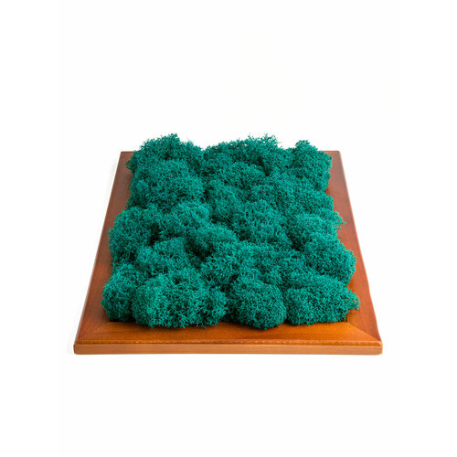 Мох стабилизированный цвет Морская волна, Ягель мох - 150 гр (№ 15)