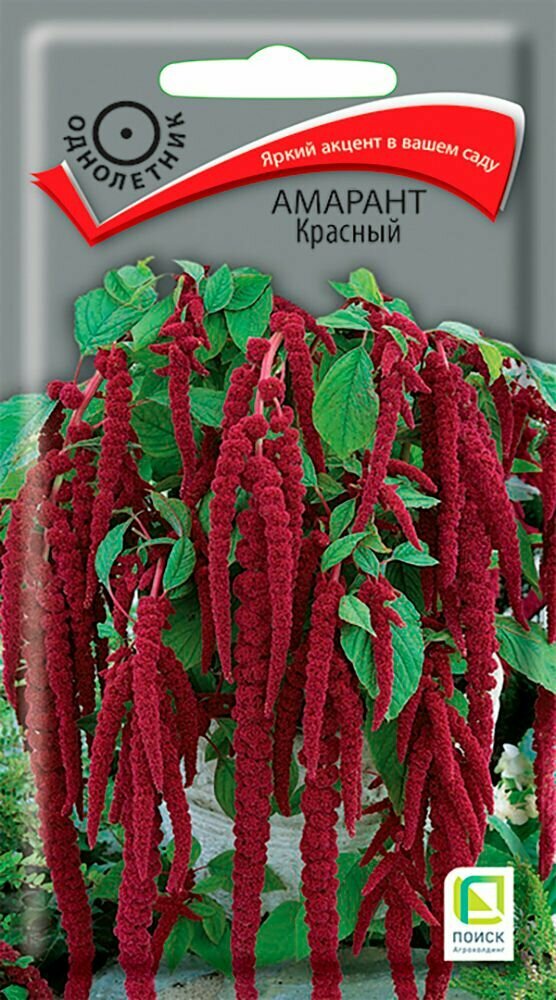 Семена Амарант Красный 01гр.