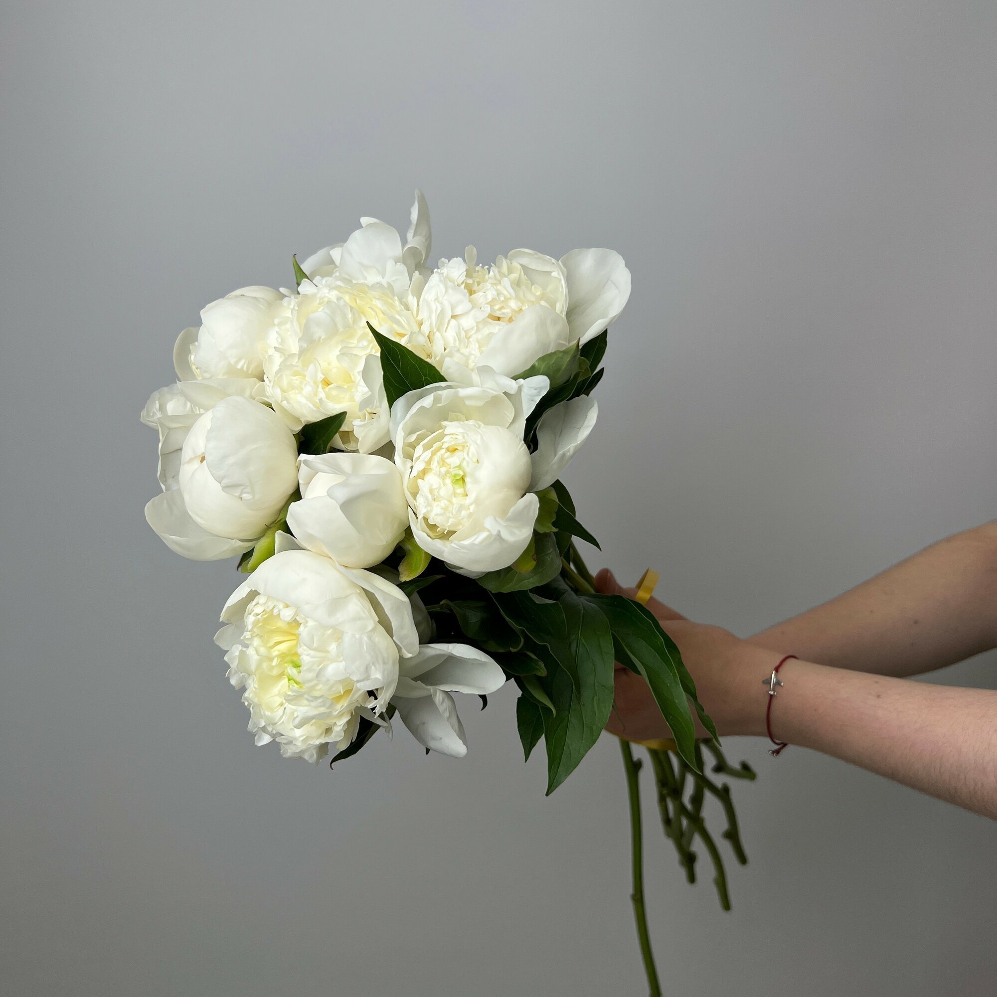 Живые цветы букет пионов 9 шт. белые