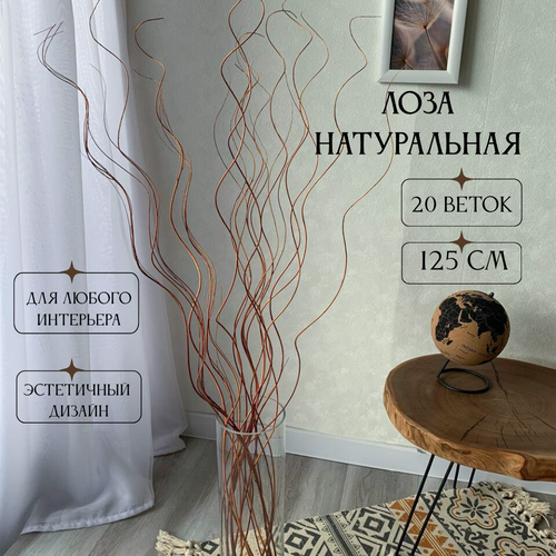Сухоцвет для декора ветки лоза натуральная букет 20 штук высота 125 см коричневые 600₽