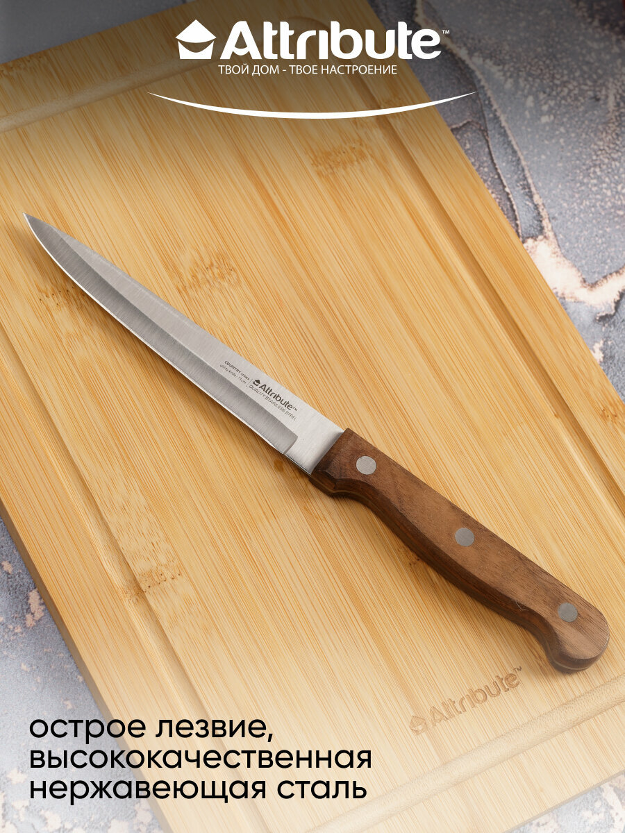 Нож филейный ATTRIBUTE  COUNTRY  19см  нержавеющая сталь пластик