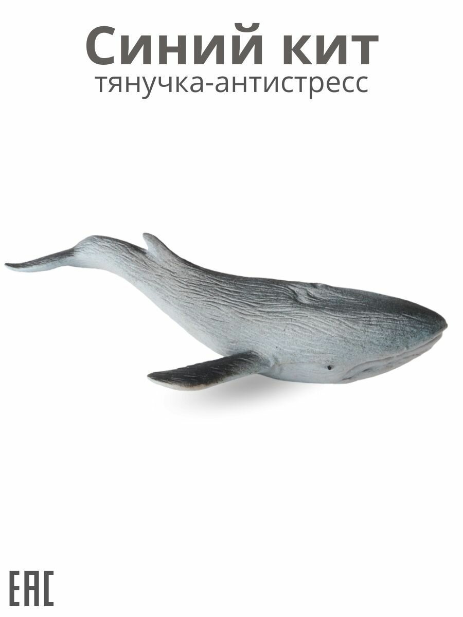 Синий кит тянучка игрушка / Тянучка антистресс