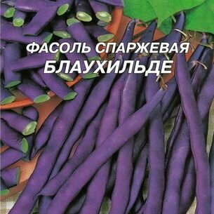 Фасоль Блаухинда вьющаяся семена