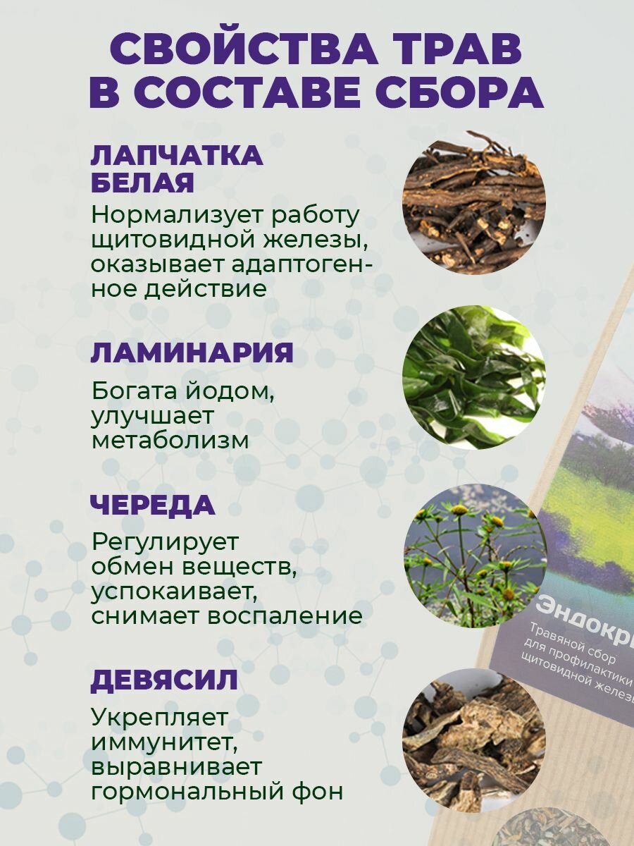Картинки Травяной чай Эндокринорм для щитовидной железы