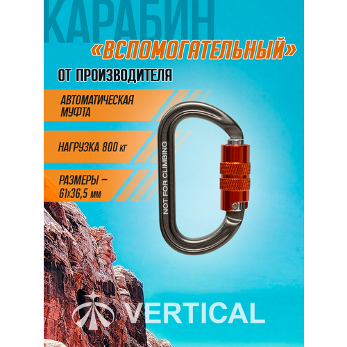 Карабин вспомогательный 