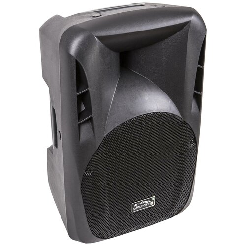 Активная акустическая система Soundking FPD12AD 3767000₽